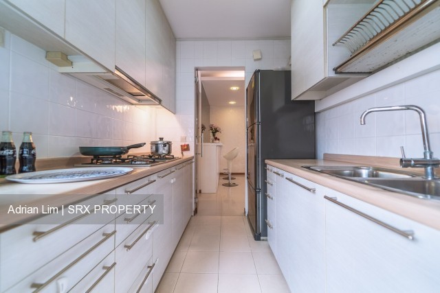 Blk 515A The Premiere @ Tampines (Tampines), HDB 5 Rooms #210989581